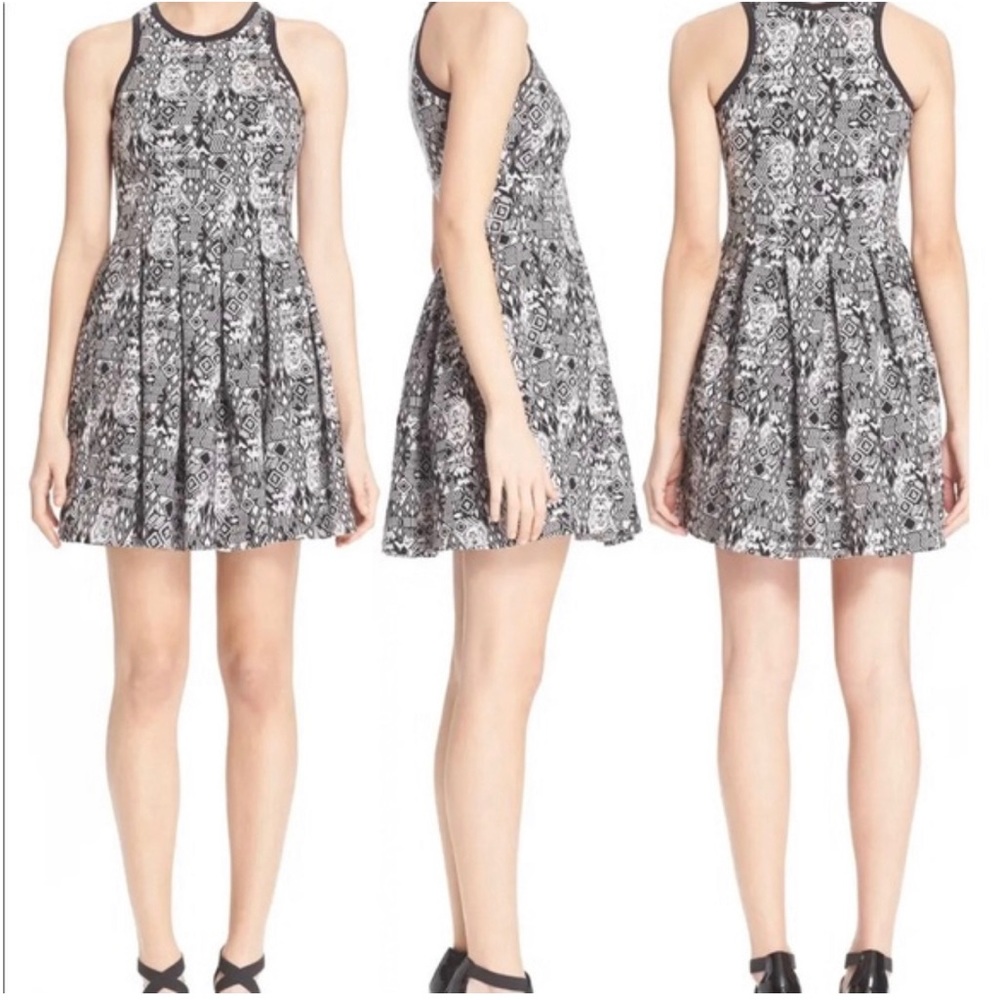 Parker Rio Sleeveless Printed Fit and Flared Dress